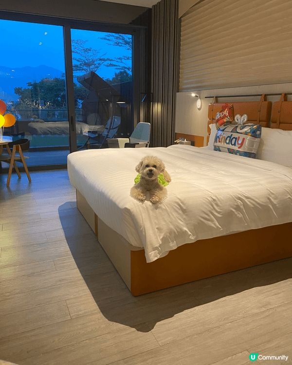 去過不同香港高質靚洒店rosewood,TheMurray,...