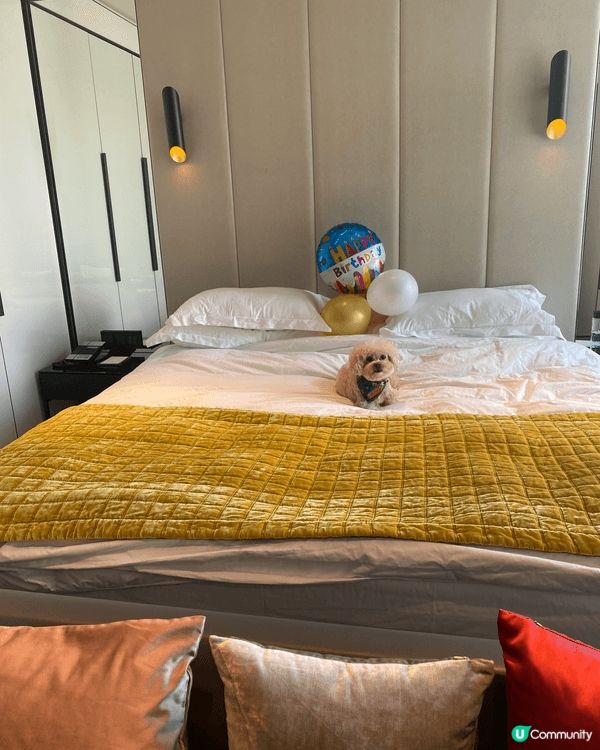 去過不同香港高質靚洒店rosewood,TheMurray,...