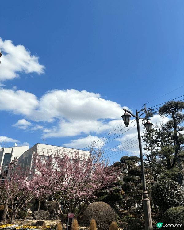 東京小鄉下川越 非常值得去雖然係旅遊地點，但係都唔係好多人，...