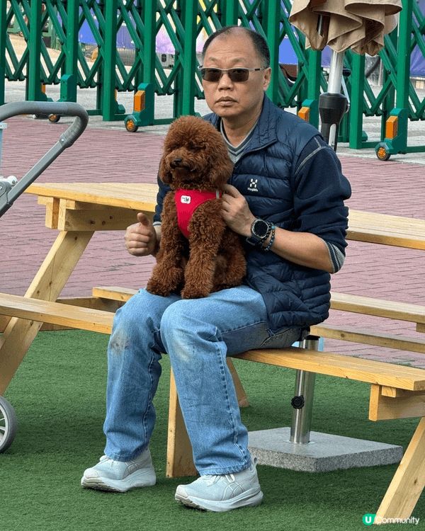 喜歡帶毛孩去香港每一各落玩玩