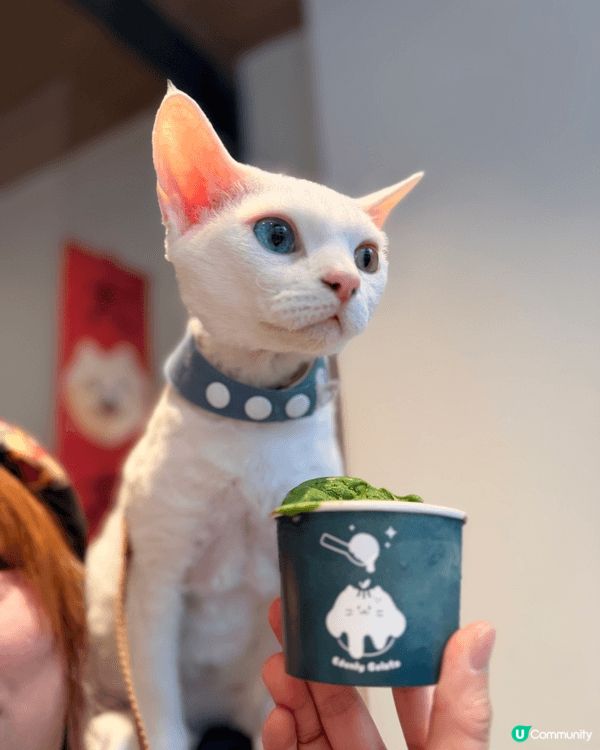 Edenly Gelato @edenly_gelato 