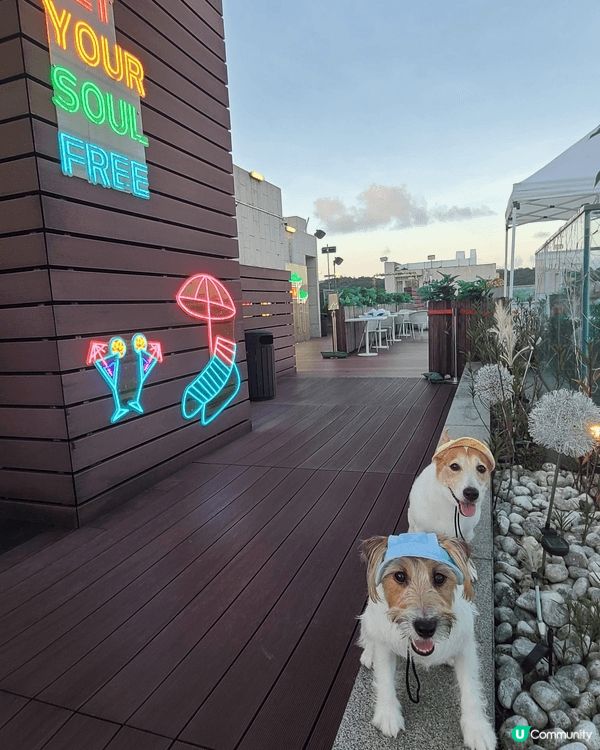最近去過梅窩銀礦灣酒店，翠雅山房及The pier