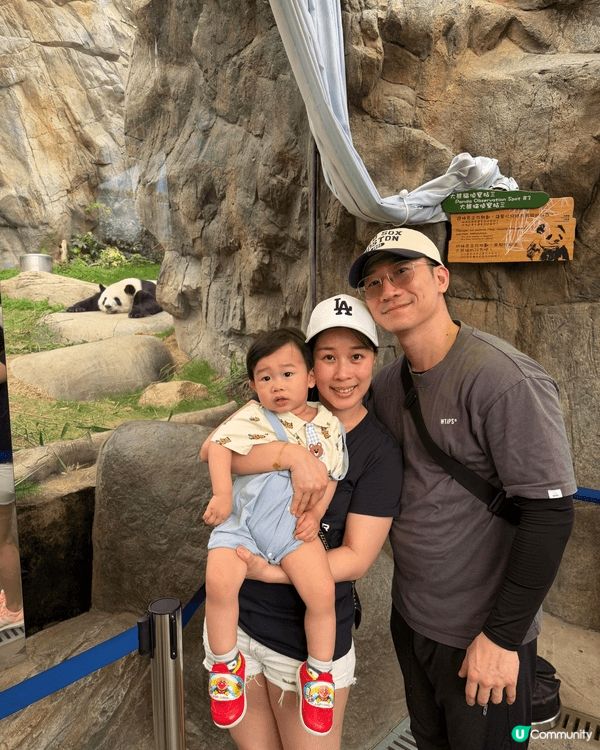 香港海洋公園睇動物同坐攬車好開心，希望有機會去一家人去長隆玩...