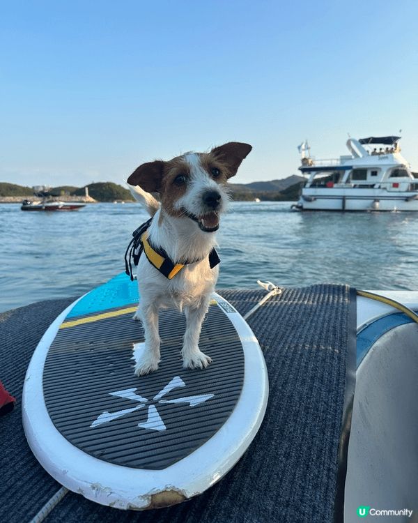西貢夏天出海玩水上活動好消暑