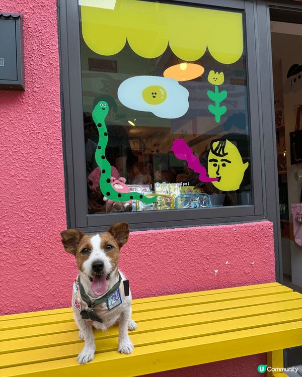 西貢夏天出海玩水上活動好消暑