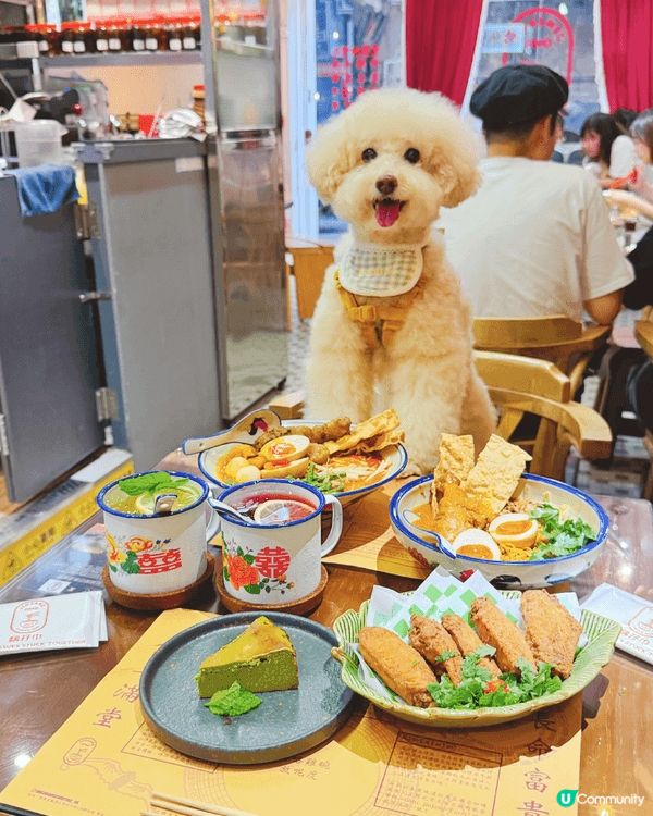 呢間新酒店係寵物友善..都好想可以搶先入住..第一時間分享我...