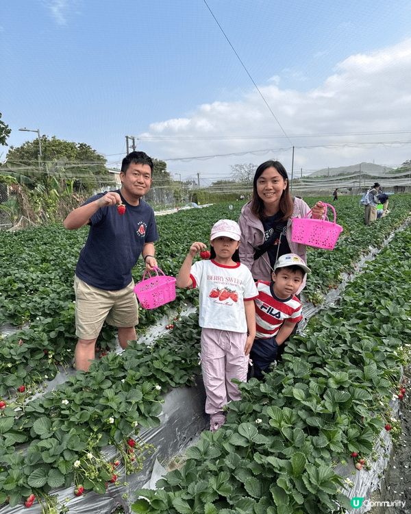 去富國島旅行，靚靚樂園外打卡；另外係香港農場摘士多啤梨，享受...