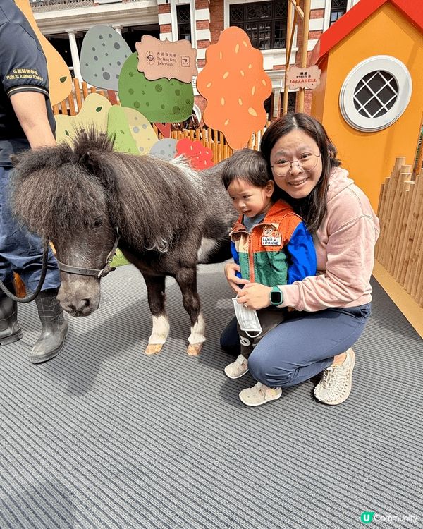 適逢馬年，一家大小去大館探小馬仔，俾小朋友接觸小馬。