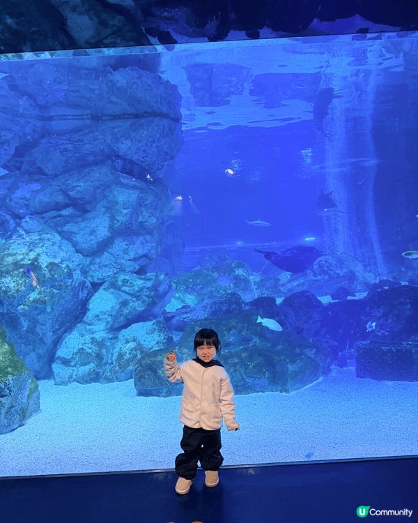 韓國親子旅行點少得行水族館？果果仲第一次去餵鯊魚tim