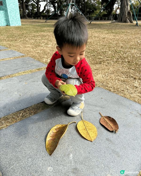 這兩張相是與仔仔探索生活日常的記錄，以第三者角度來捕捉仔仔與...