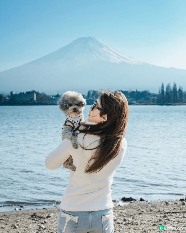 最近好難忘嘅就係同狗狗去旅行！去咗東京1星期～狗狗係家人, ...