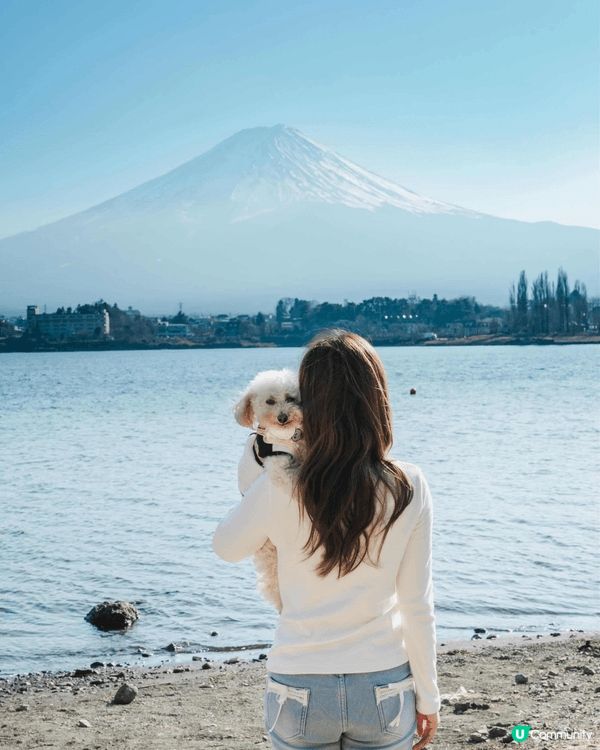 最近好難忘嘅就係同狗狗去旅行！去咗東京1星期～狗狗係家人, ...