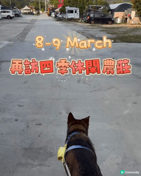 第一張去四季營地拍左條片紀錄下感覺