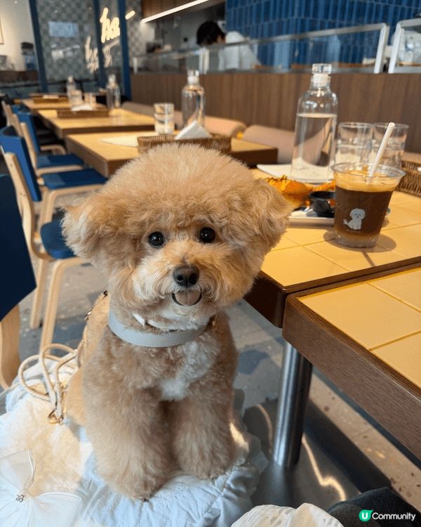 數碼港商場🌟位於數碼港商場位於內的小竹園 有小型嘅日式花園建...