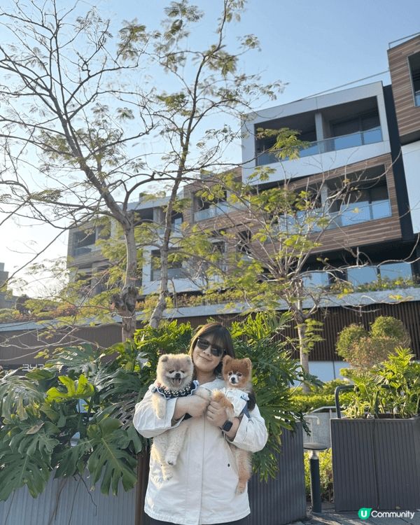 我和老公周不時都會帶兩隻小寶貝出街街影靚相，第一張就係同朋友...