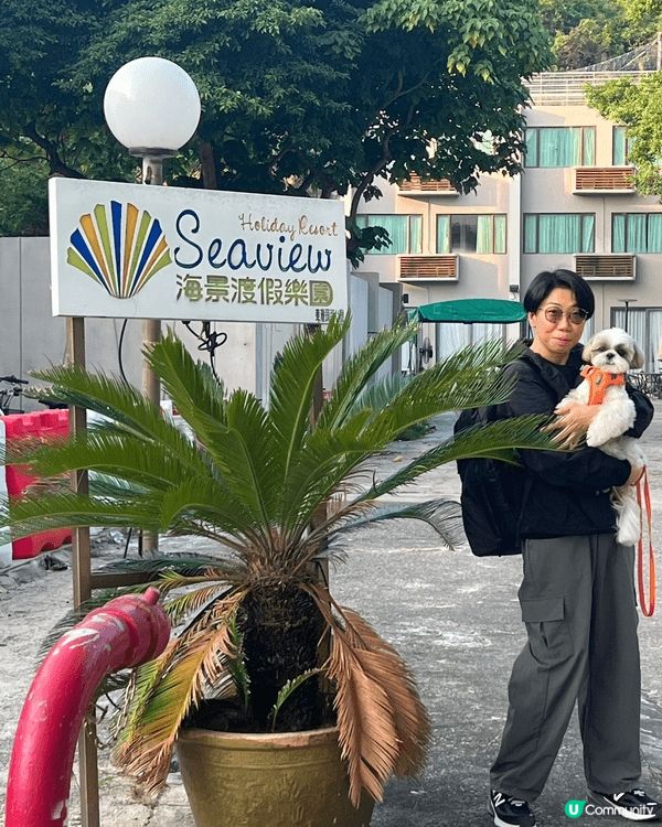 主要都係選擇人寵共融的地方，在大嶼山梅窩的海景度假樂園，狗狗...