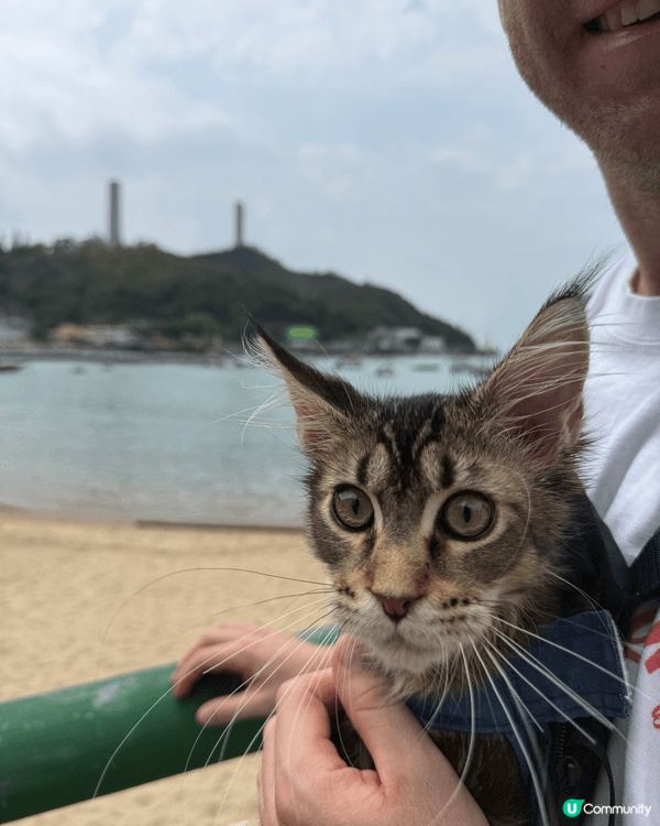 最推介大家去南丫島，因為地理唔算太遠，喺中環搭船20分鐘之後...