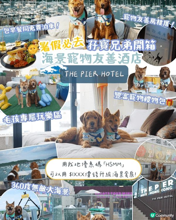 我哋係一個著名介紹香港寵物友善吃喝玩樂好去處嘅平台～專門剪片...