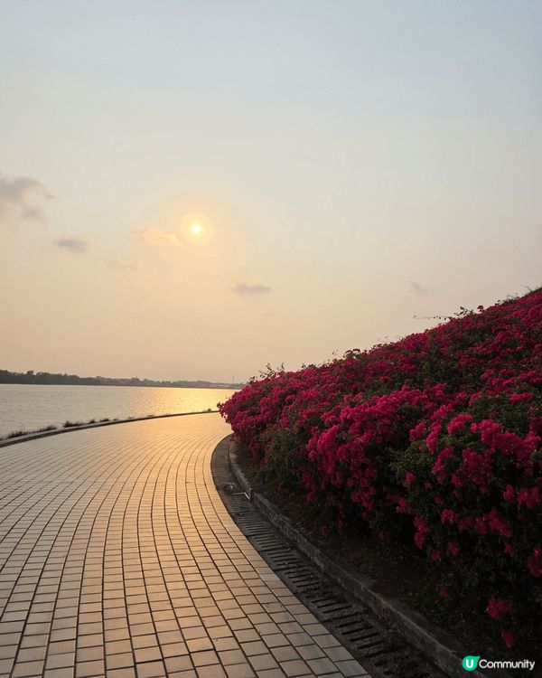 廣東小洱海———夢幻仙境😍🌊