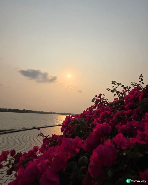 廣東小洱海———夢幻仙境😍🌊