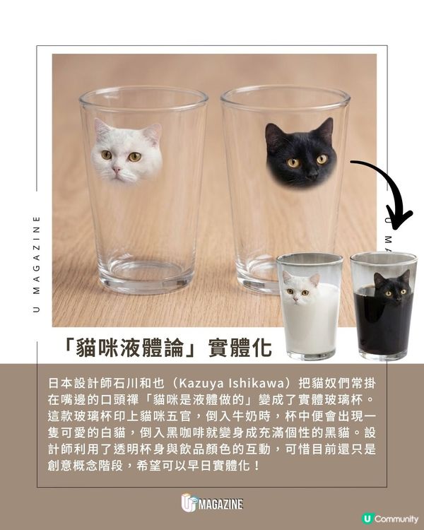 貓是液體做的？液體貓杯誕生                                    