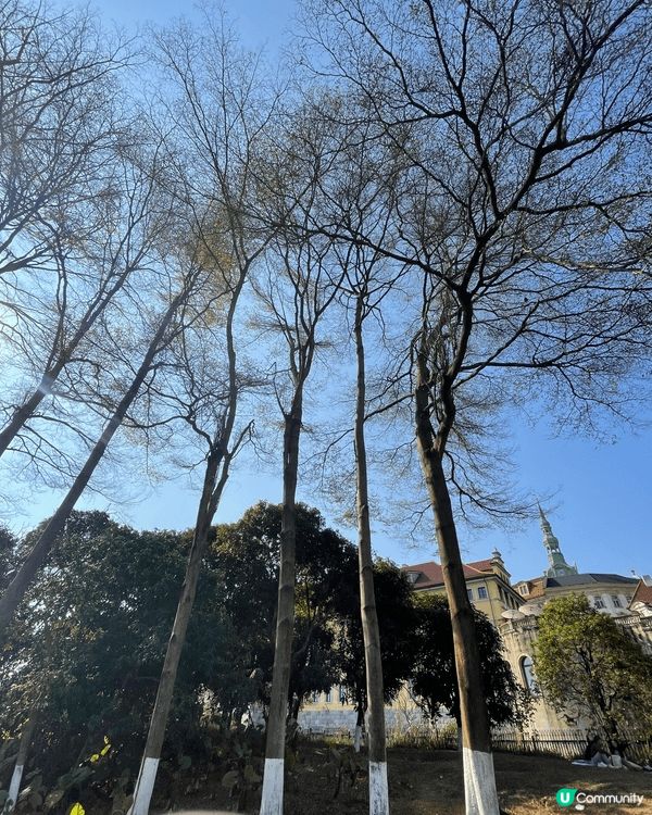 新年的傳統節日氣氛，我想要回內地才尋找到了，松山湖是一個不錯...