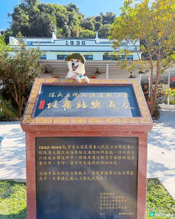 深涌水上快線，係一條✨寵物友善✨航線，大家可以放心帶埋自己嘅...