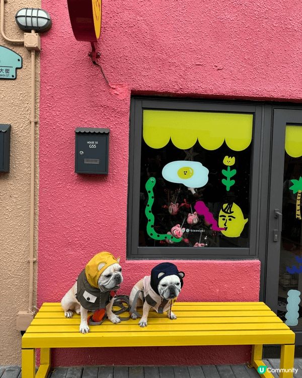 馬灣1868， 超級pet friendly,多打卡位，好似...