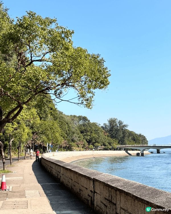 大埔海濱公園有海景、寬闊草地同親子設施，無論係想帶小朋友放電...