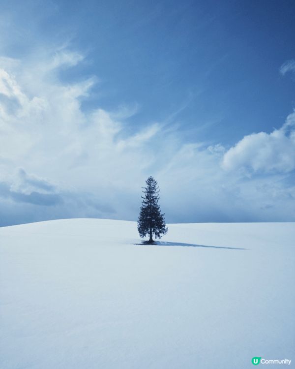 紅磚古建築披上白雪，札幌啤酒發源地，可參觀歷史並品嚐新鮮啤酒...