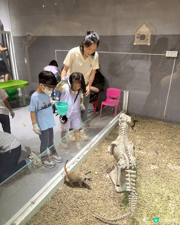 在笋岡的萬象食府玩，走入少型動物園，親親摸摸小動物、爬蟲類動...