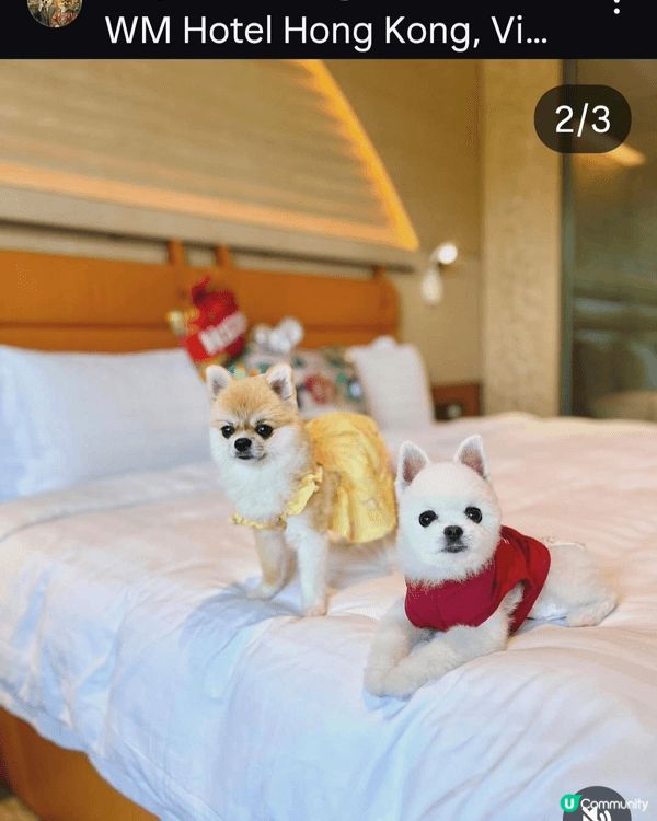 We love staycation with our lo...