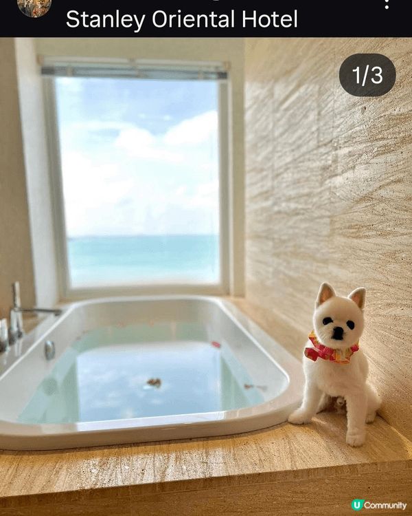 We love staycation with our lo...