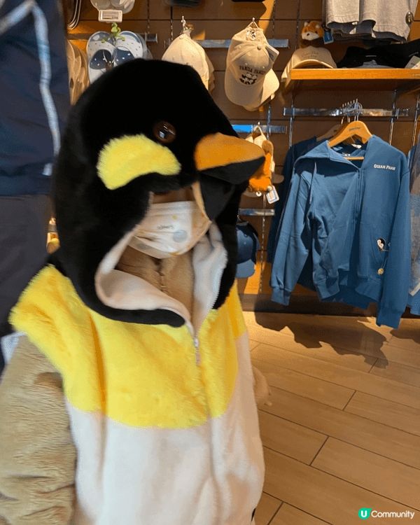 Ocean park 親子好地方。又可以帶兒童了解動物，可親...