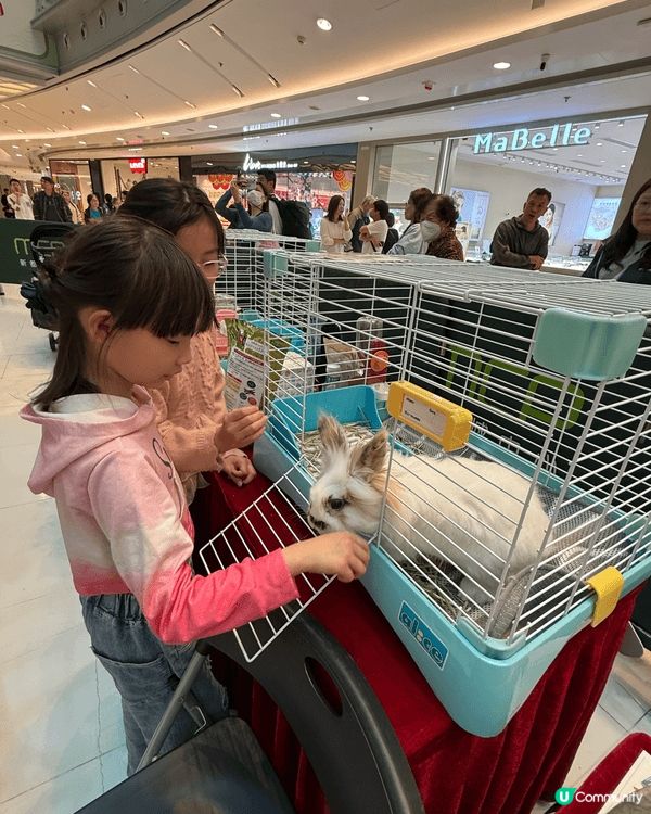 🐛🪲復活節唔知帶小朋友去邊玩？我哋已經去玩咗啦！😆🔥放電＋學...