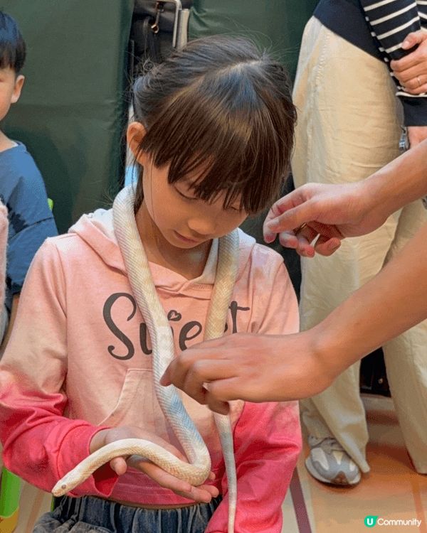 🐛🪲復活節唔知帶小朋友去邊玩？我哋已經去玩咗啦！😆🔥放電＋學...