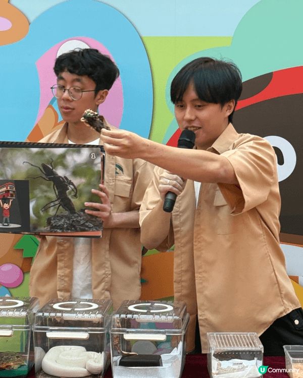 🐛🪲復活節唔知帶小朋友去邊玩？我哋已經去玩咗啦！😆🔥放電＋學...