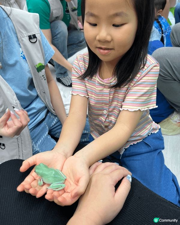 城市內都有動物園，仲要隻隻都好Mini，真係好岩小朋友去見識...