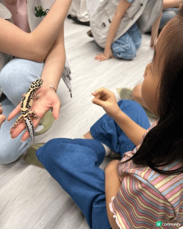 城市內都有動物園，仲要隻隻都好Mini，真係好岩小朋友去見識...