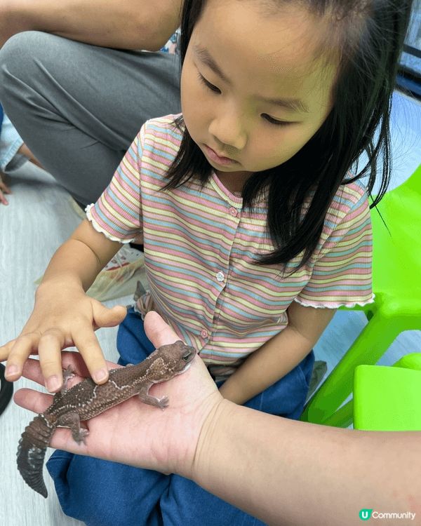 城市內都有動物園，仲要隻隻都好Mini，真係好岩小朋友去見識...