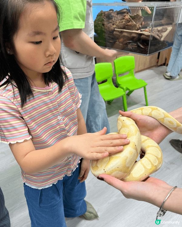 城市內都有動物園，仲要隻隻都好Mini，真係好岩小朋友去見識...