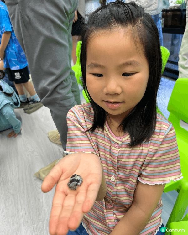 城市內都有動物園，仲要隻隻都好Mini，真係好岩小朋友去見識...