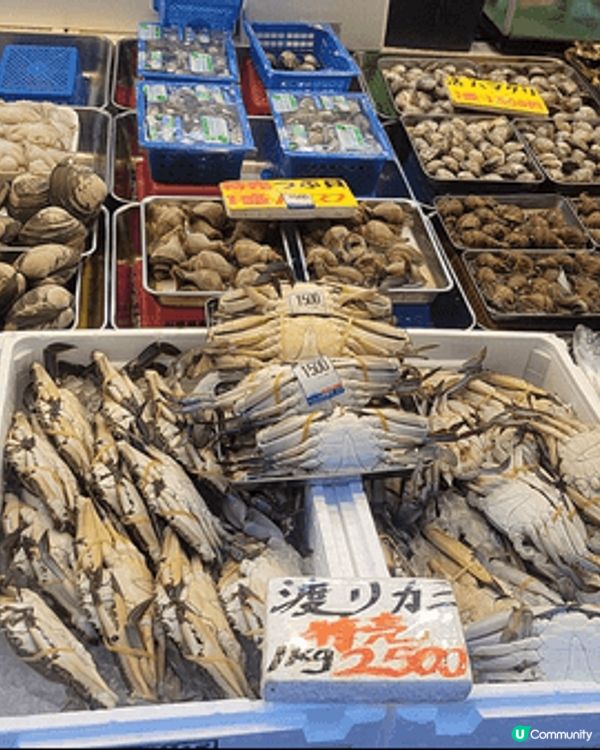 日本東京，雷門，秋葉源，新宿，原宿，上野。