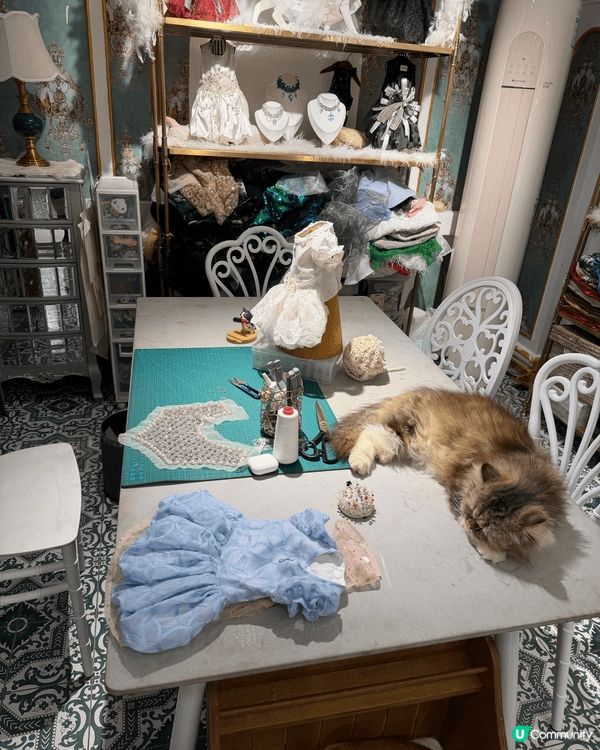 呢個係位於廣州月亮貓城，今年新開幕，由於小朋友好鍾意貓所以去...