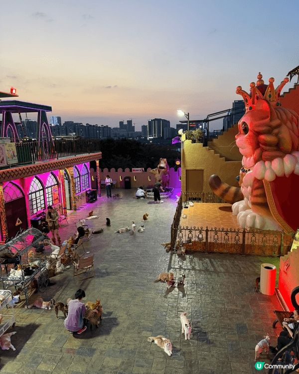 呢個係位於廣州月亮貓城，今年新開幕，由於小朋友好鍾意貓所以去...