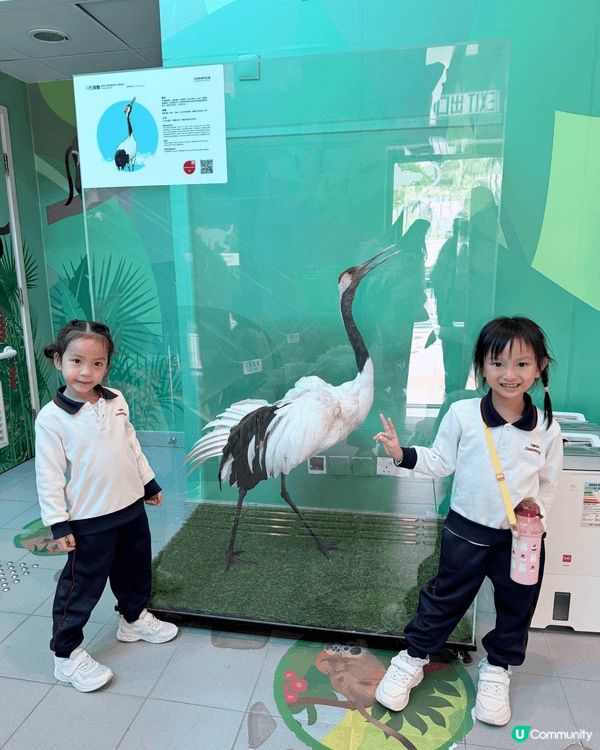 城市中的綠洲：與囡囡探索香港動植物公園的午後時光 在繁忙的都...