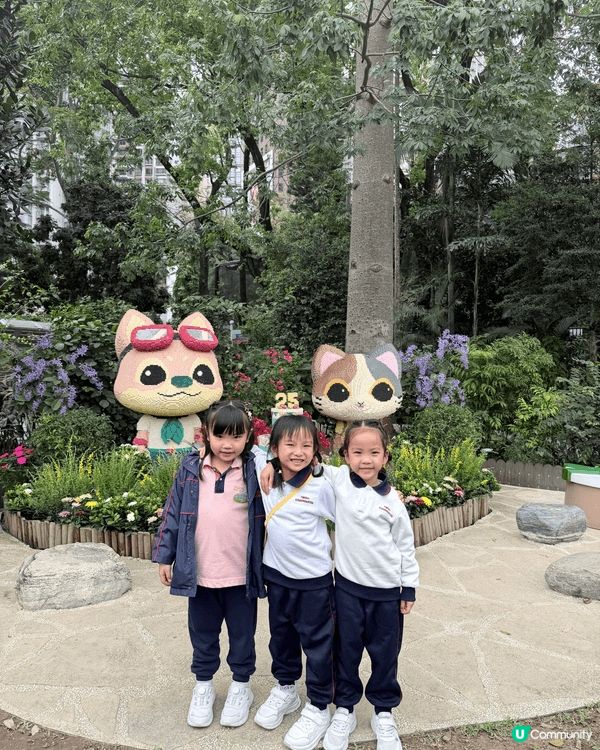 城市中的綠洲：與囡囡探索香港動植物公園的午後時光 在繁忙的都...