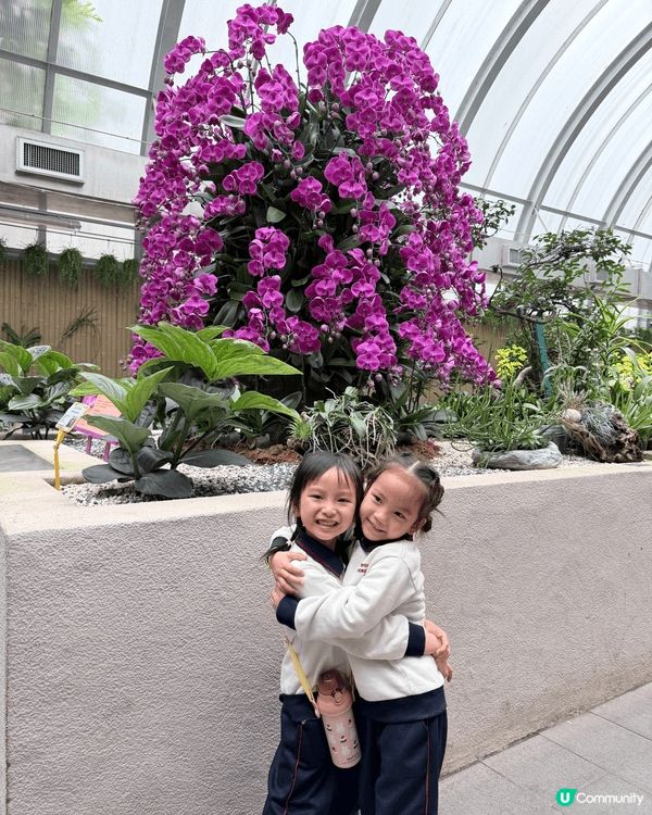 城市中的綠洲：與囡囡探索香港動植物公園的午後時光 在繁忙的都...