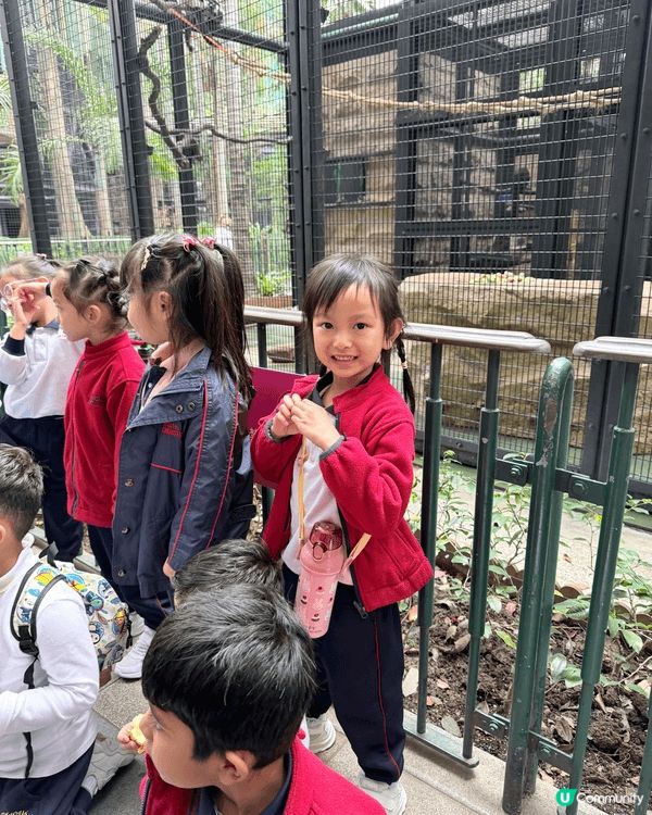 城市中的綠洲：與囡囡探索香港動植物公園的午後時光 在繁忙的都...