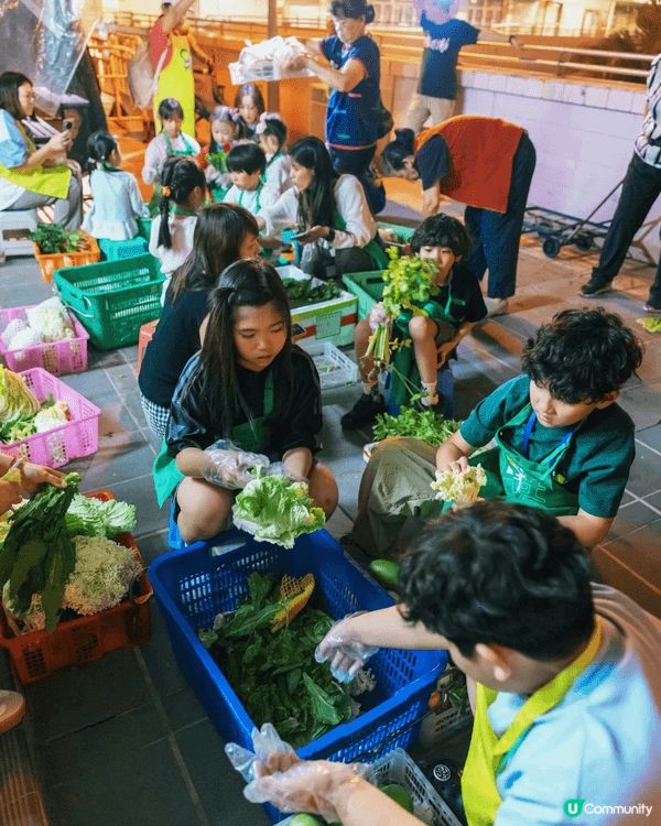 今次參加咗 #糧友行動《街市剩菜回收體驗團》，唔係淨係坐定定...